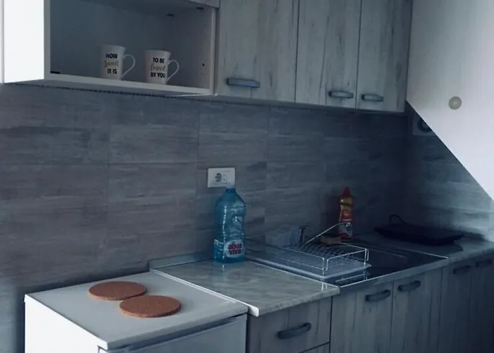 Iznad Oblaka A9 דירה קופאוניק