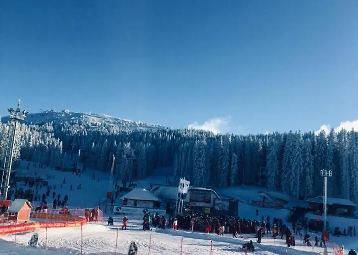 Iznad Oblaka A9 * קופאוניק