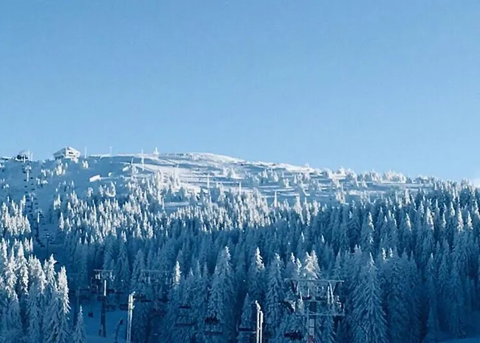 Iznad Oblaka A9 דירה *