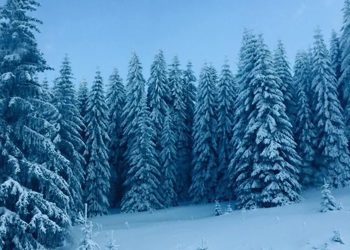 Iznad Oblaka A9 * קופאוניק