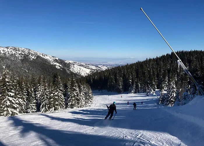 Iznad Oblaka A9 * קופאוניק